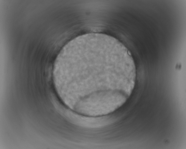 X0000113180030200910161342