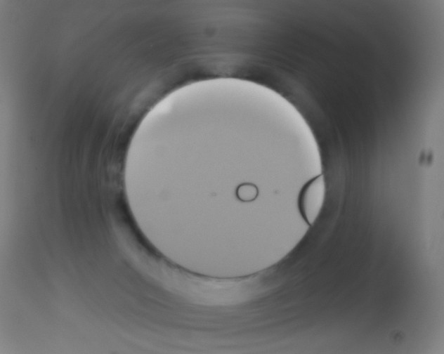 X0000113180031200910161342