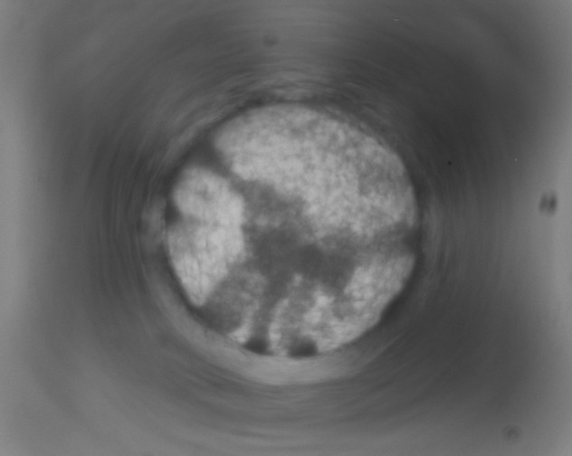 X0000113180034200910161342
