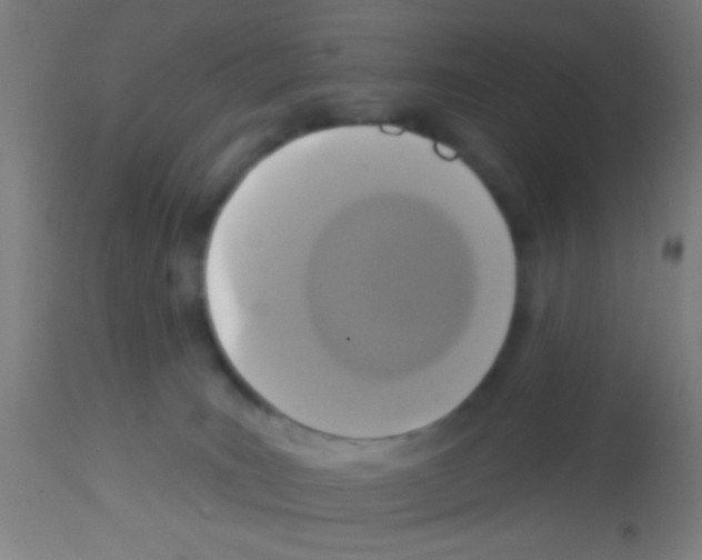 X0000113180035200910161342