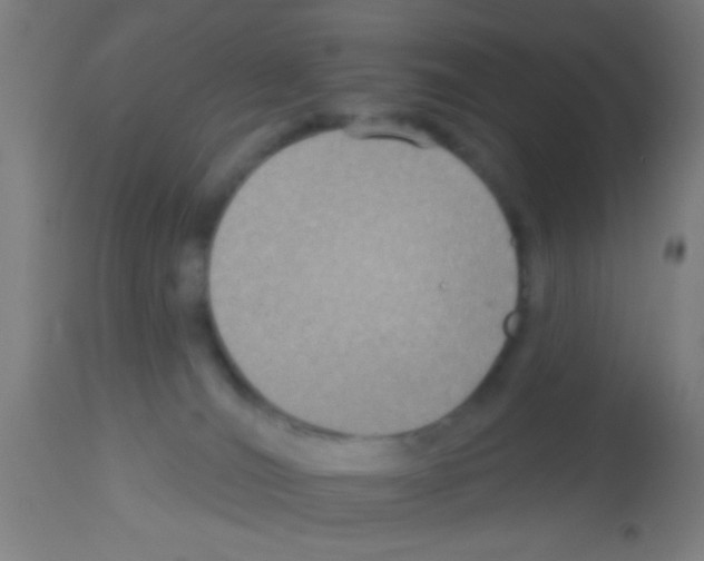 X0000113180036200910161342