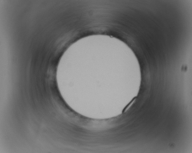 X0000113180037200910161342