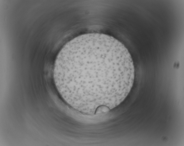 X0000113180038200910161342