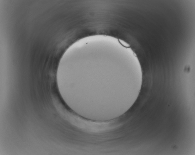 X0000113180039200910161342