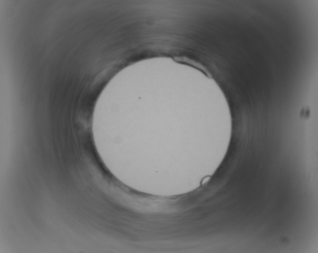 X0000113180040200910161342