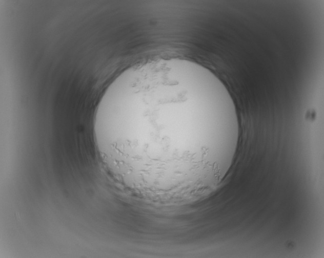 X0000113180041200910161342
