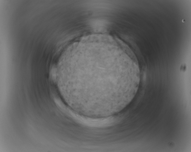 X0000113180042200910161342