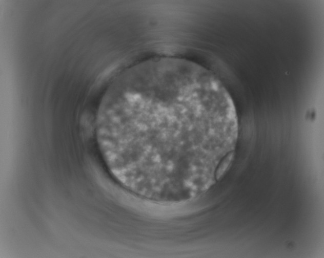 X0000113180043200910161342