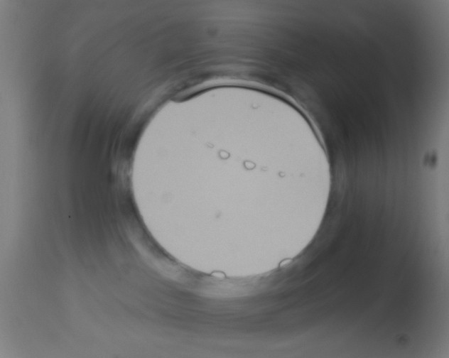 X0000113180045200910161342