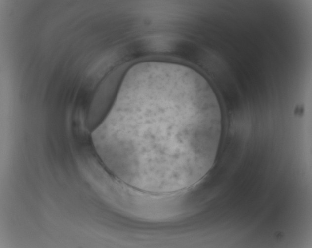 X0000113180047200910161342