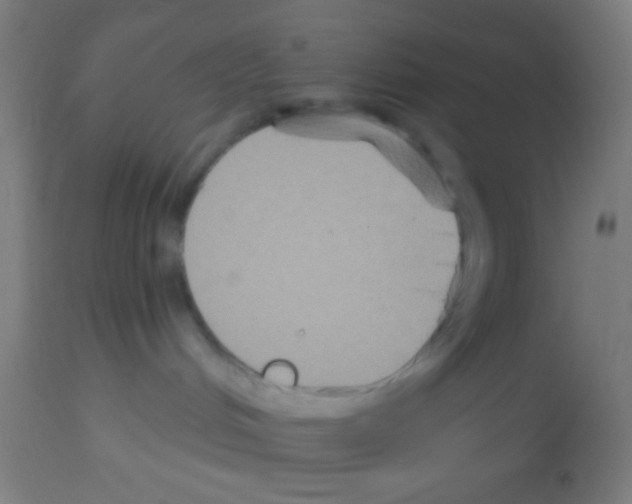 X0000113180048200910161342