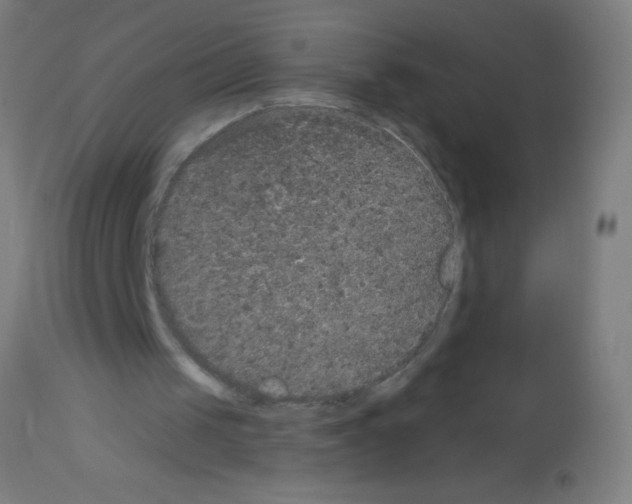 X0000113180049200910161341
