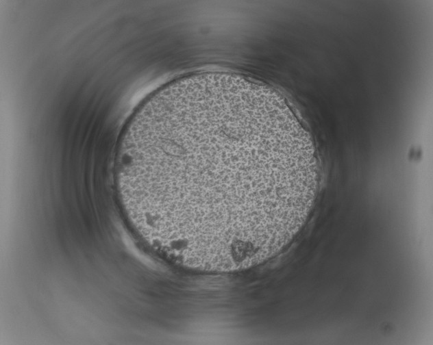 X0000113180050200910161341