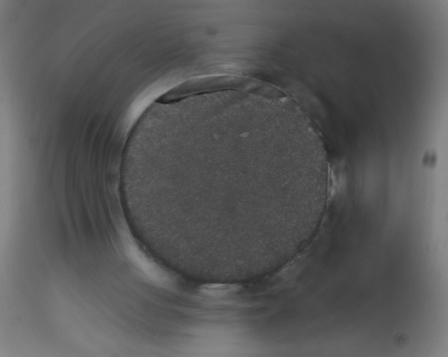 X0000113180051200910161341