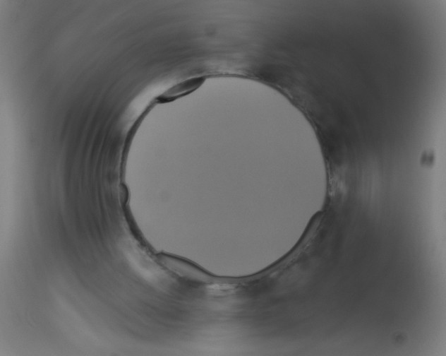 X0000113180052200910161341