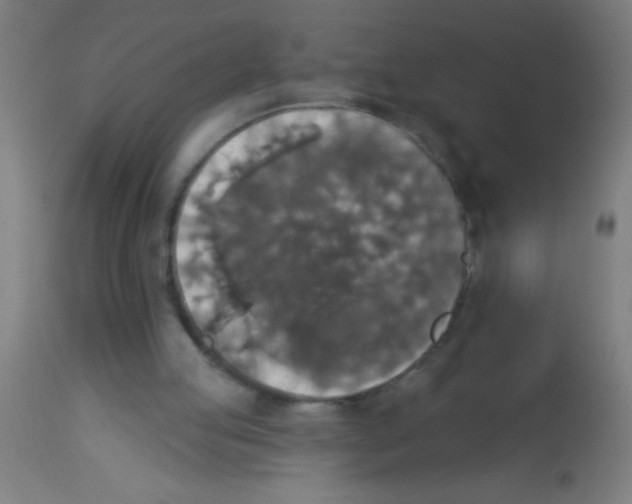 X0000113180053200910161341