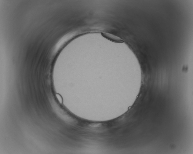 X0000113180054200910161341