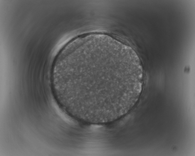 X0000113180055200910161341