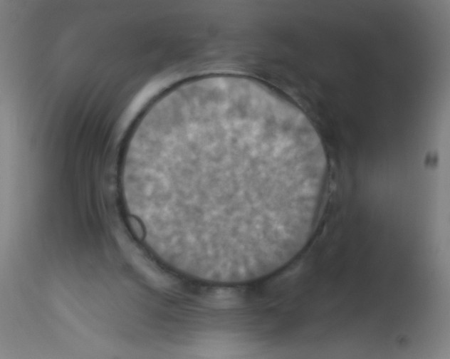 X0000113180056200910161341