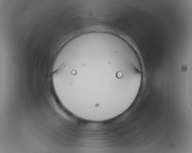 X0000113180057200910161341