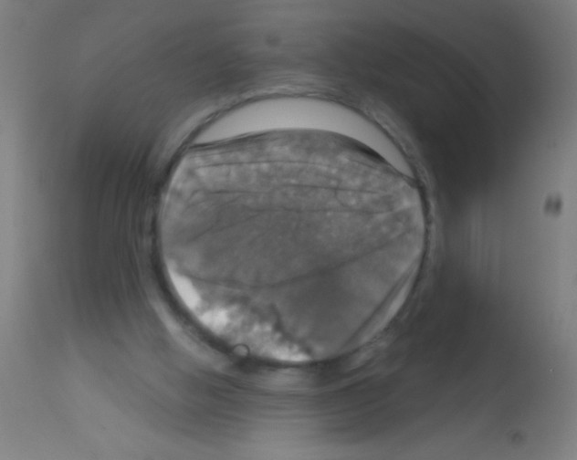 X0000113180058200910161341