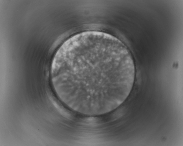 X0000113180059200910161341