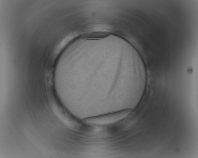 X0000113180060200910161342