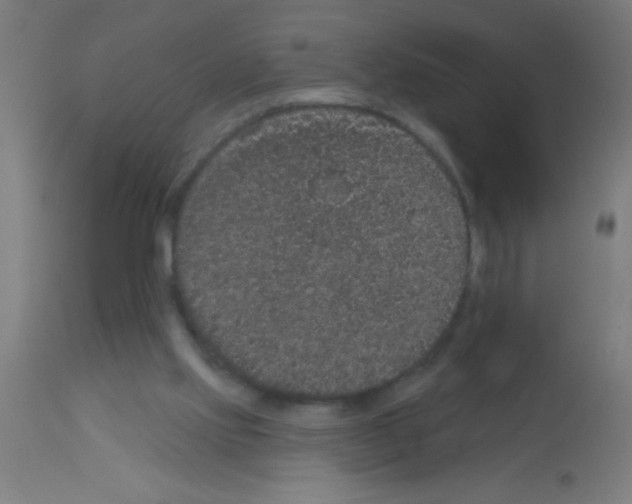 X0000113180061200910161342