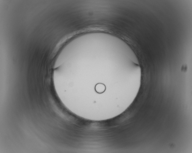 X0000113180064200910161342