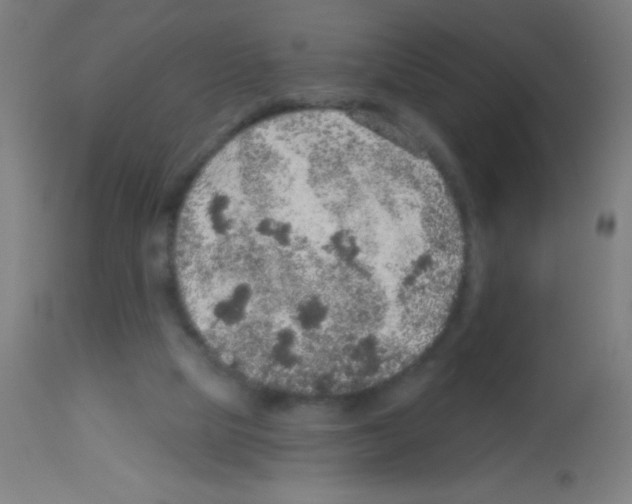 X0000113180065200910161342
