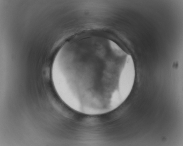 X0000113180067200910161342