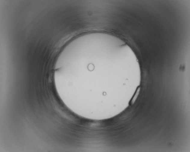 X0000113180068200910161342