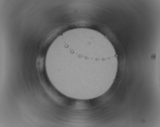X0000113180070200910161342