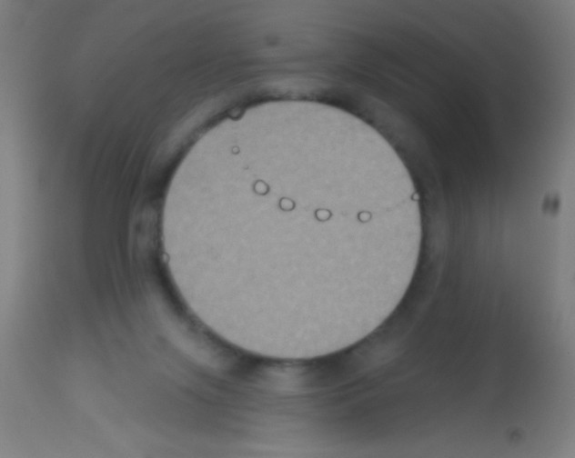 X0000113180071200910161342
