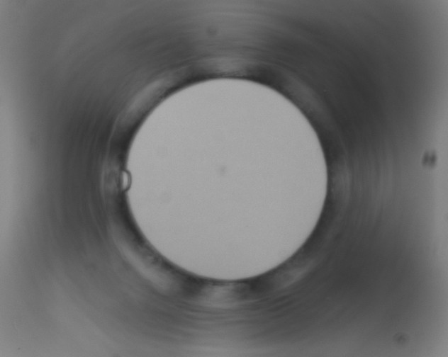 X0000113180072200910161342