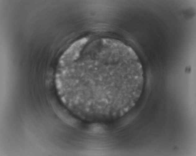 X0000113180073200910161342