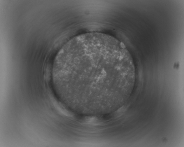X0000113180074200910161342