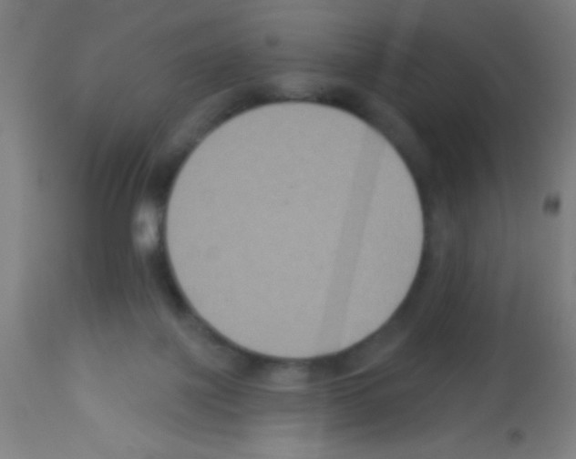 X0000113180075200910161342