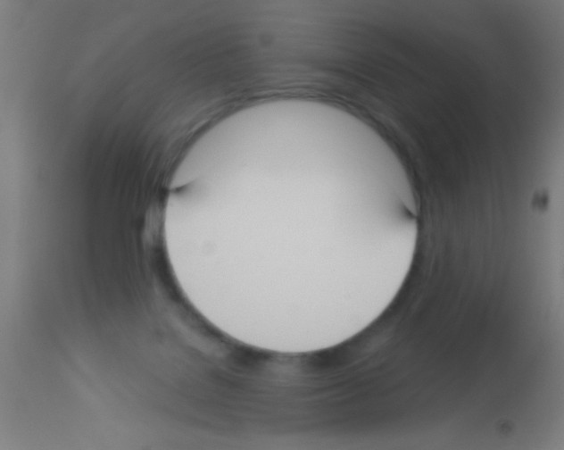 X0000113180076200910161342