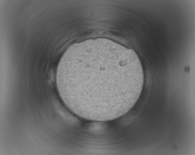 X0000113180077200910161342