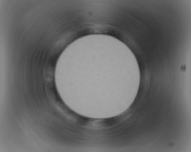 X0000113180078200910161342