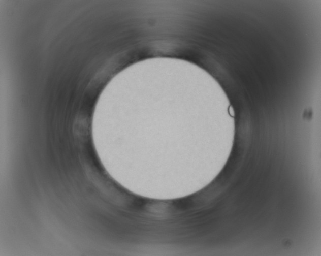 X0000113180079200910161342