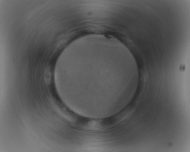 X0000113180080200910161342