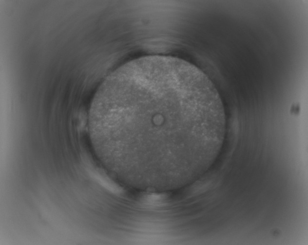 X0000113180081200910161342