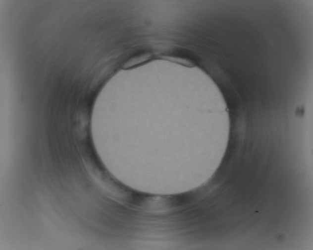 X0000113180082200910161342