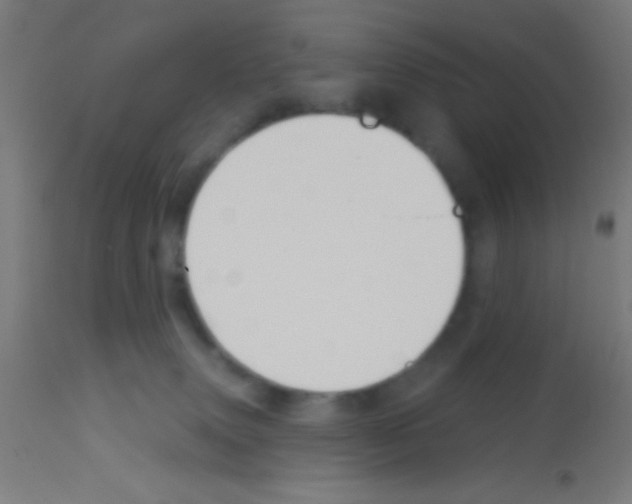 X0000113180083200910161342