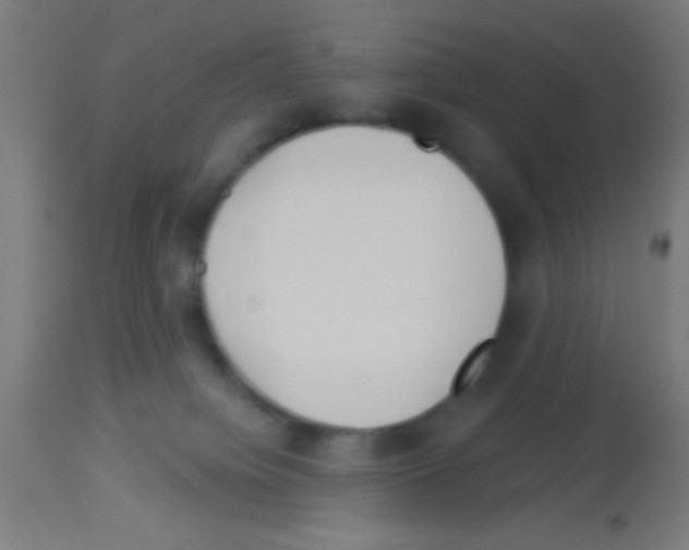 X0000113180084200910161342