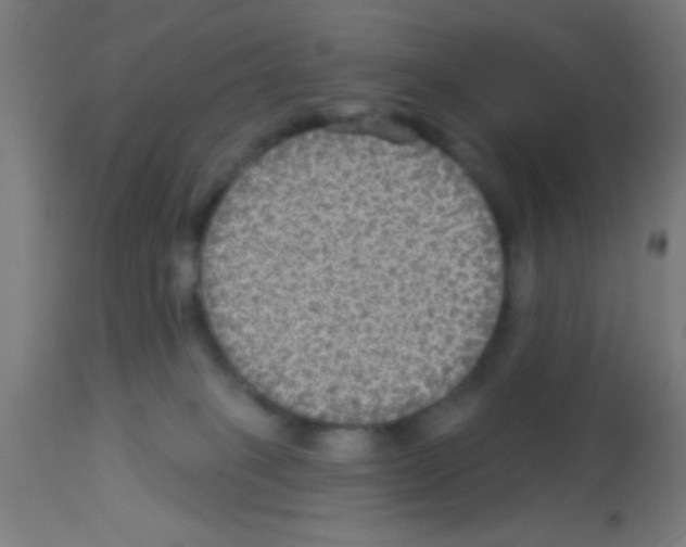 X0000113180085200910161342