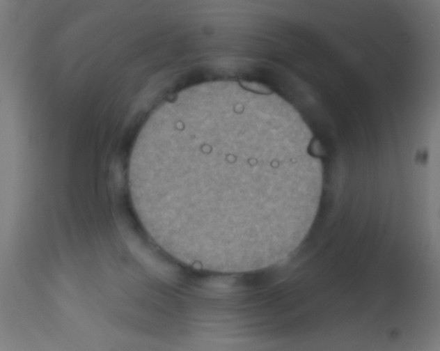 X0000113180086200910161342