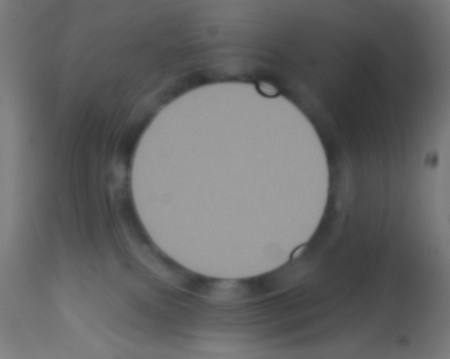 X0000113180087200910161342
